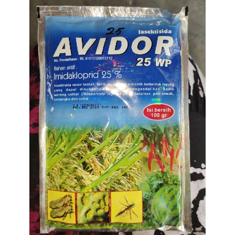 Avidor 25 WP