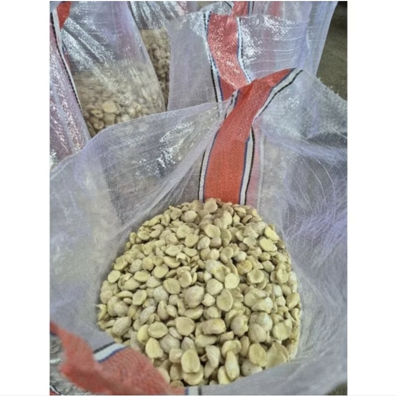

[Bahanmasak.Sby] KEMIRI PECAH/KEMIRI SUPER DUA PUTRA 1KG