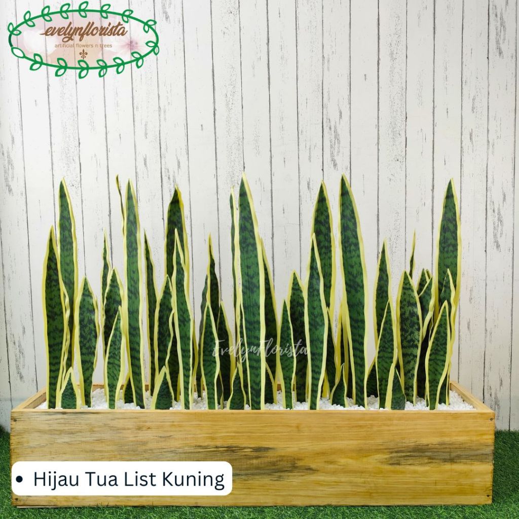 Tanaman Artificial Daun Hias Lidah Mertua Pot Planter Kayu Sekat Ruangan Partisi Ruangan Aesthetic