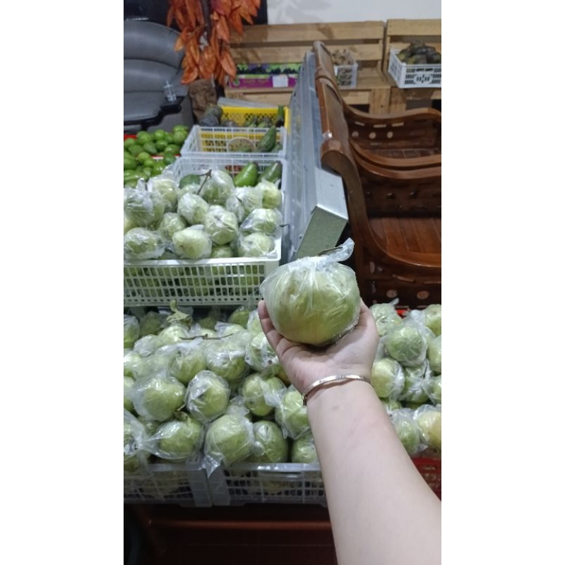 

jambu kristal super