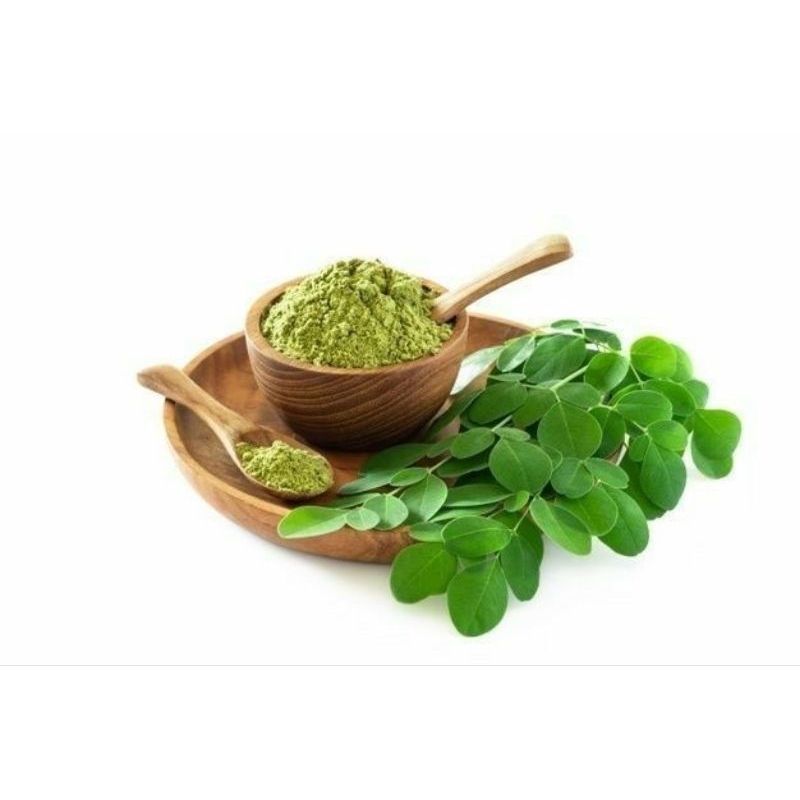 

TEH Herbal Daun Kelor 50gr Daun Kelor / Moringa / Rempah / JSR 100% PREMIUM QUALITY Obat Kanker Asma TEH CELUP DAUN KELOR : 100% Alami Dan Organik