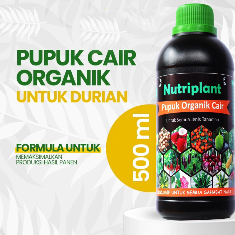 Pupuk Durian | Pupuk Organik Cair Buah durian | Booster Durian