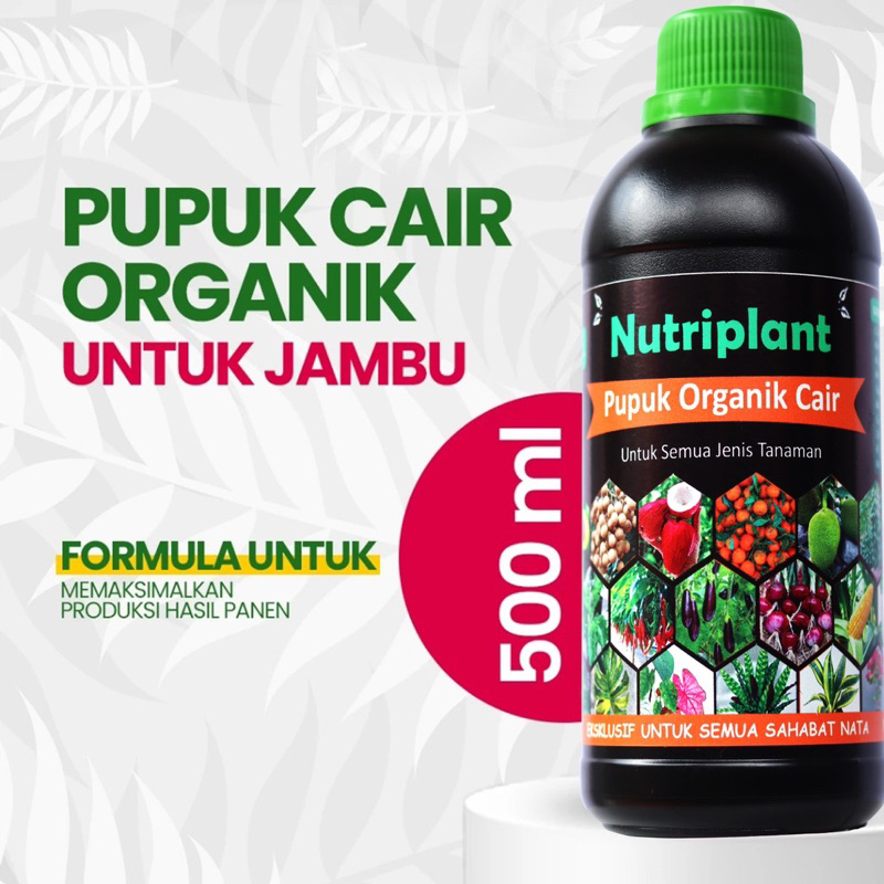 Pupuk Jambu | Pupuk Organik Cair Buah Jambu | Booster Jambu