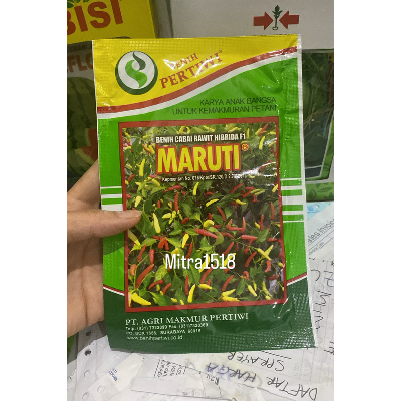 Benih cabe rawit putih maruti 10gram cabe maruti F1 10gr cabe setan dari benih pertiwi