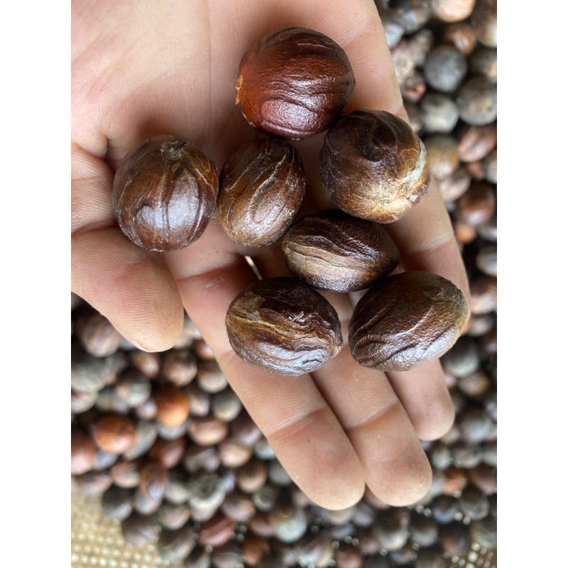 

rempah biji pala 100gr