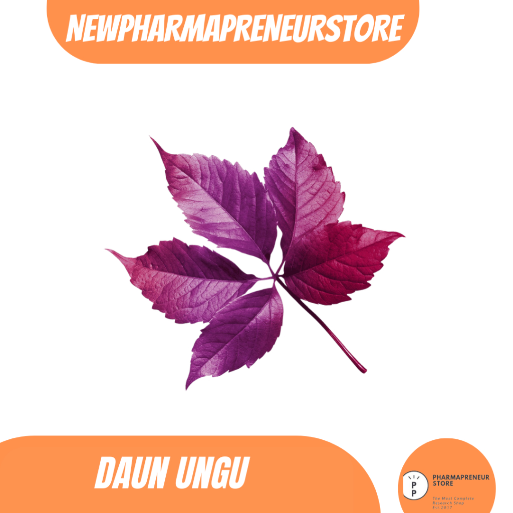 

DRIED SERBUK DAUN UNGU BEST QUALITY