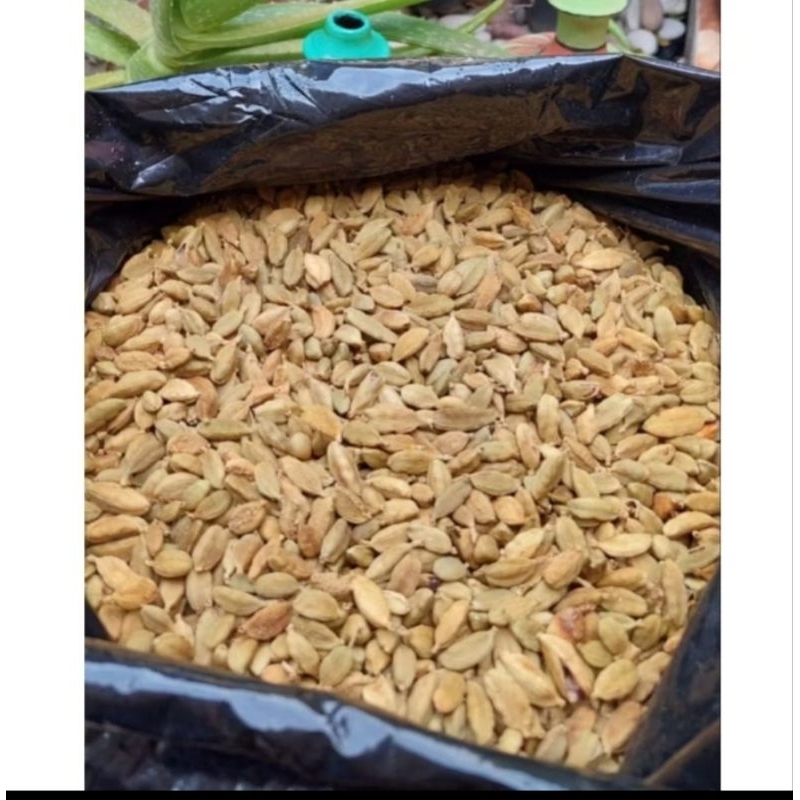 

100 gr KAPOLAGA HIJAU GREAN CARDAMOM