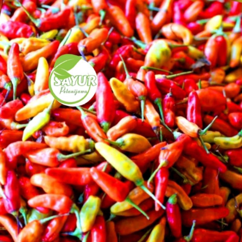 

Cabe Rawit Merah | Cabe rawit 500gr