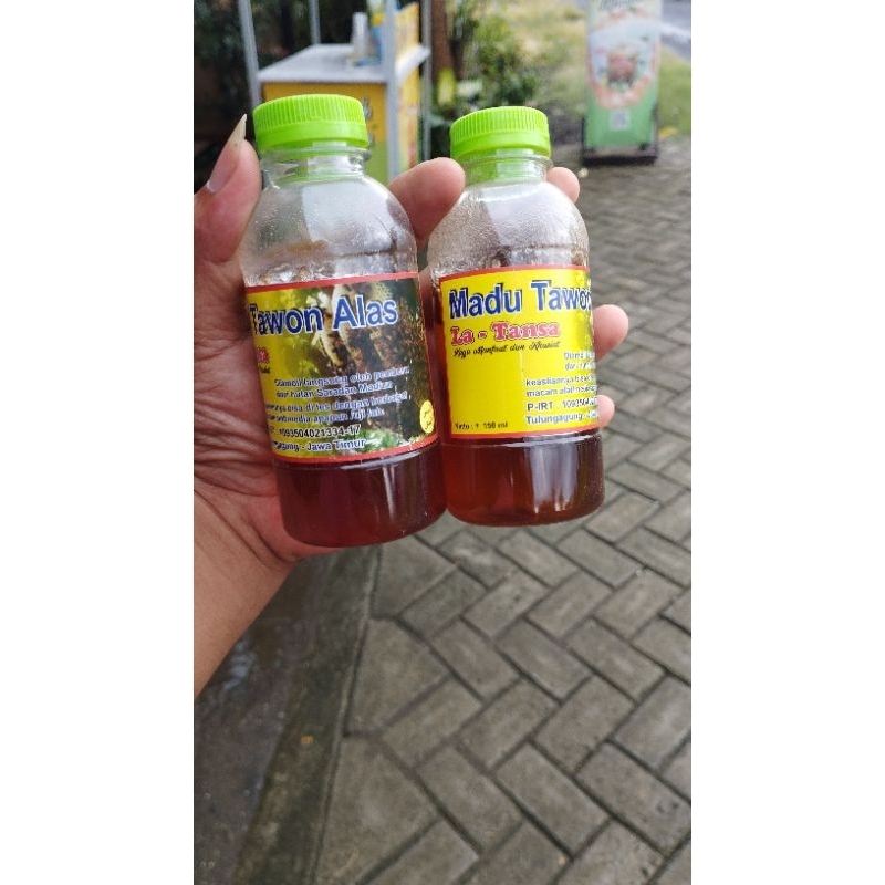 

madu tawon alas