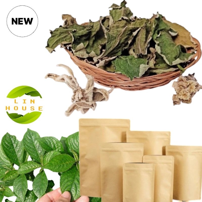 

TEH KERING KEJI BELING ATAU DAUN KI BELING KERING SIAP SEDUH 100 GRM