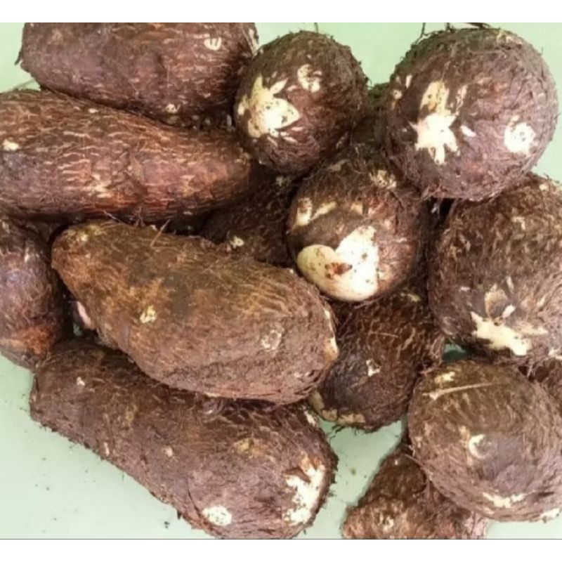 

enthik/ubi talas segar ponorogo per 1kg
