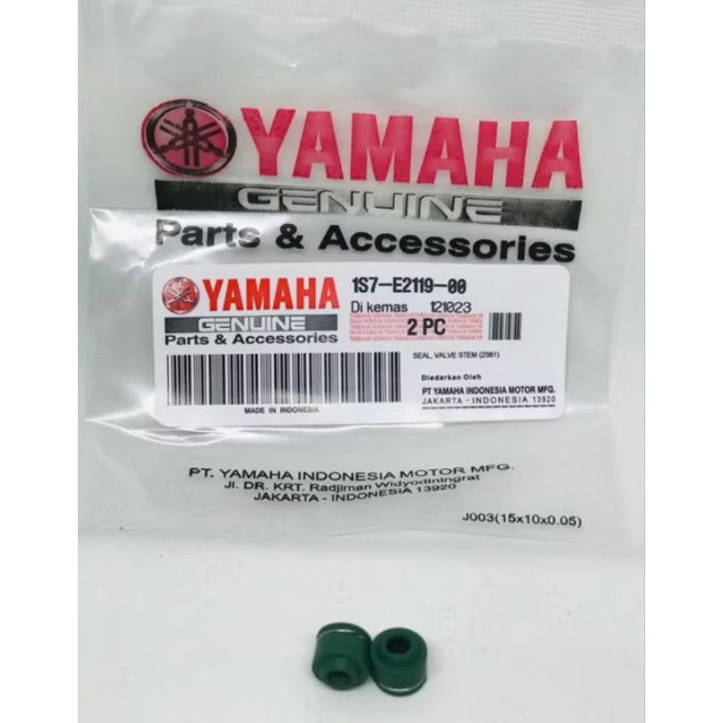 Seal Klep Jupiter Mx