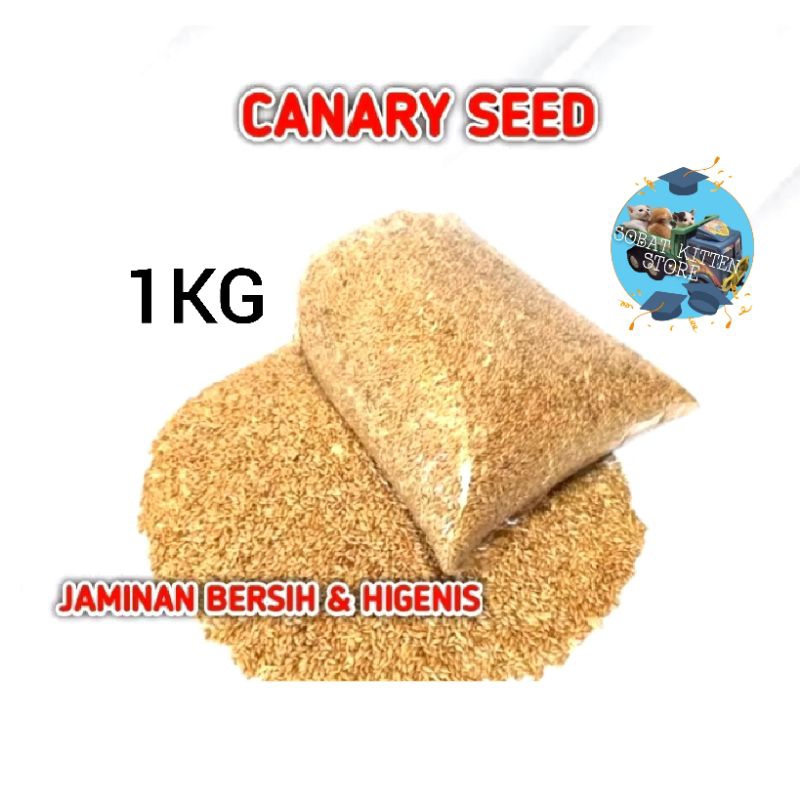 KENARI SEED 1KG MAKANAN BURUNG KENARI CANARY SEED KILOAN KENARI SEED KILOAN BERSIH