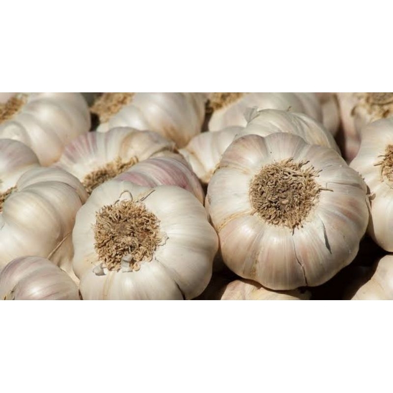 

Bawang Putih Kering 500 Gram