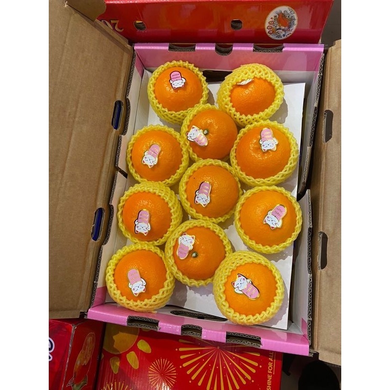 

Buah jeruk sakura manis banyak air super premium fresh Spesial Edition