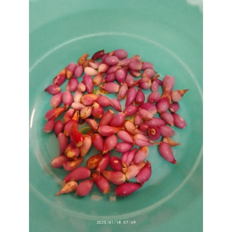 

Brambang kecil kupas