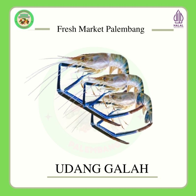 

Udang galah / satang -Fresh Market Palembang-