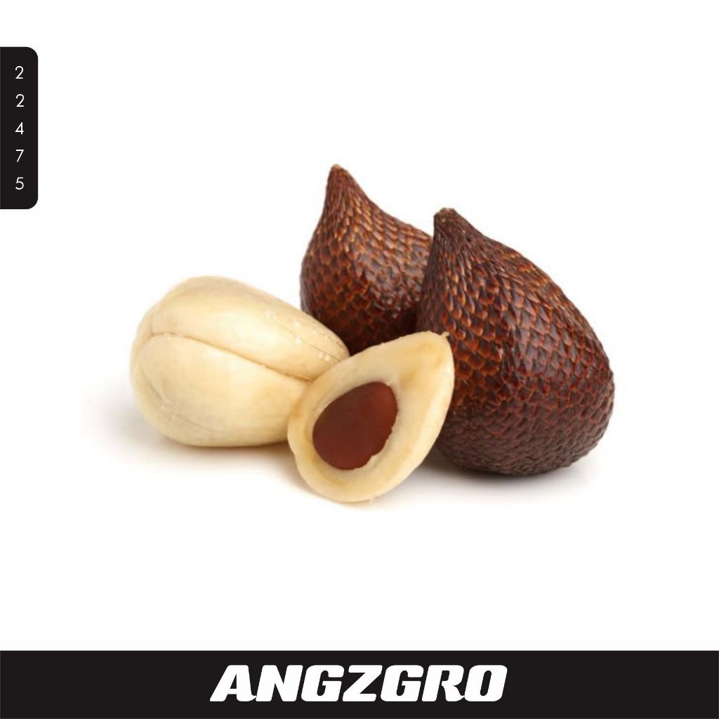 

Salak Pondok Manis 1 kg