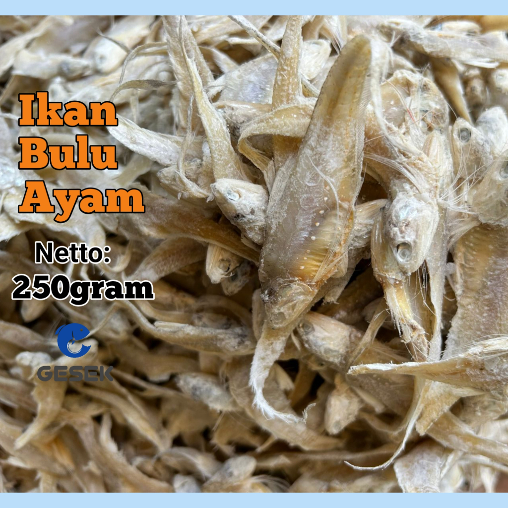 

IKAN ASIN BULU AYAM 250gram Makanan laut kering