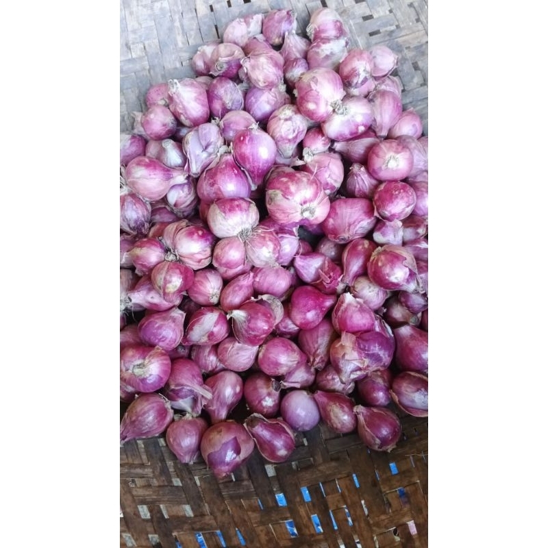 

BAWANG MERAH/BAWANG MERAH 1KGAN