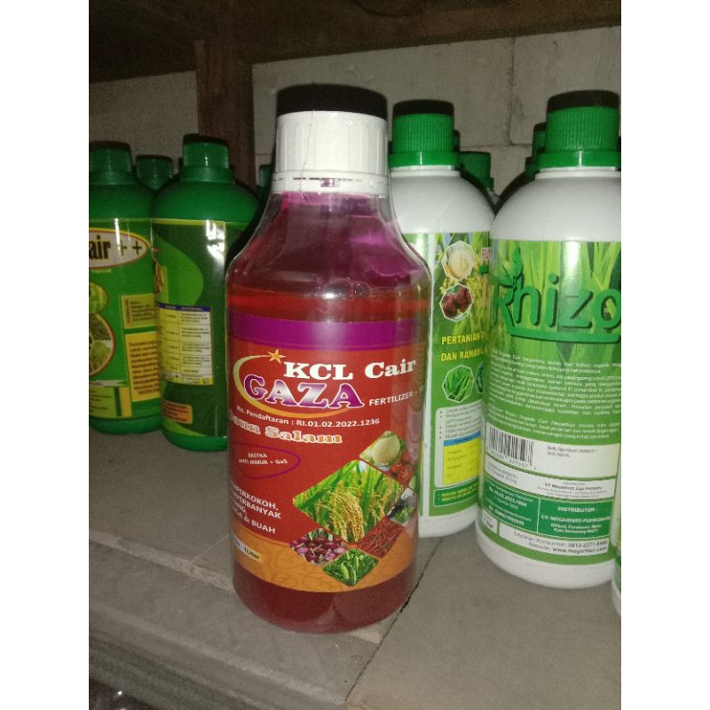 pupuk Cair KCL GAZA membobot bulir padi hasil melimpah Anti jamur 1lt