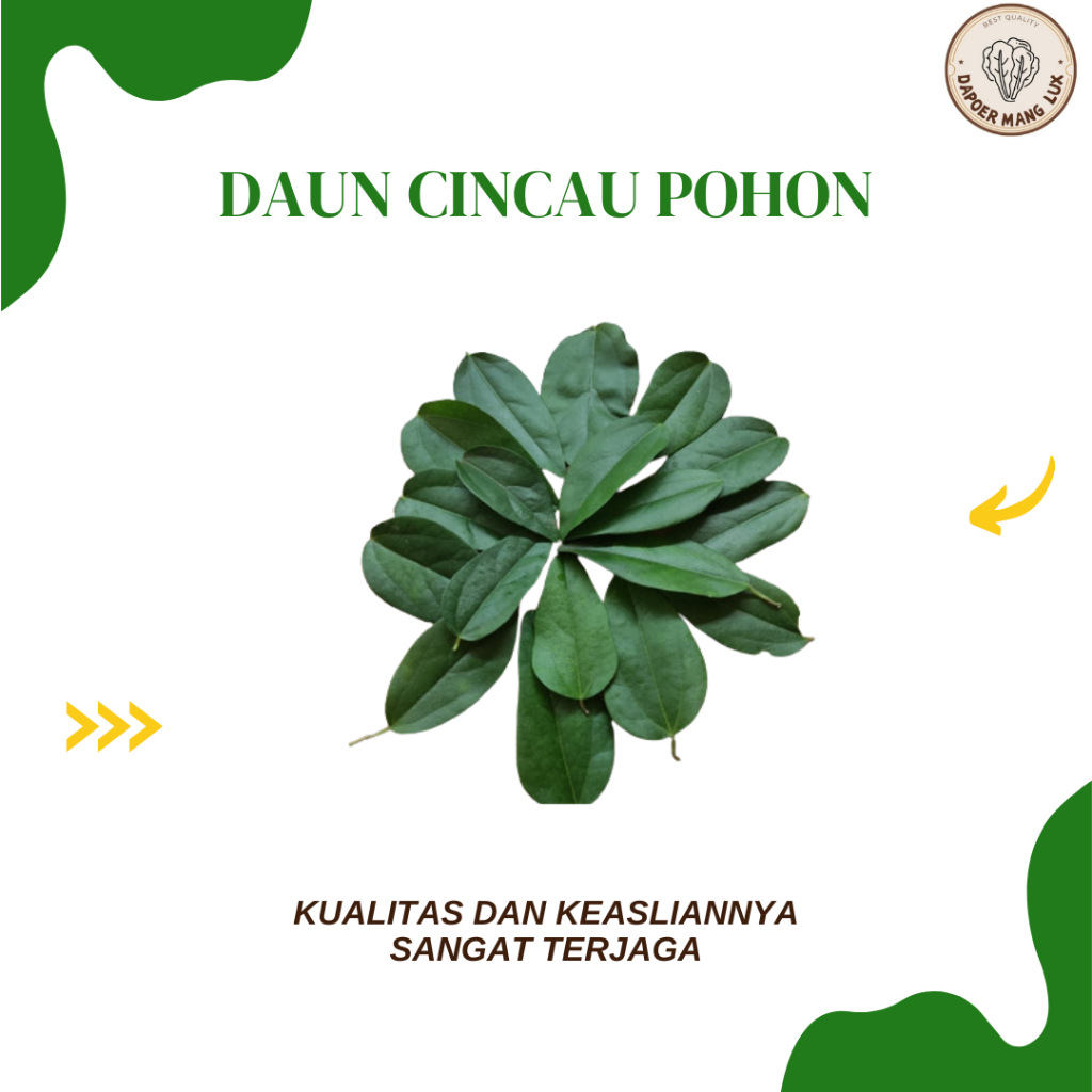 

DRIED SERBUK DAUN CINCAU POHON BEST SELLER