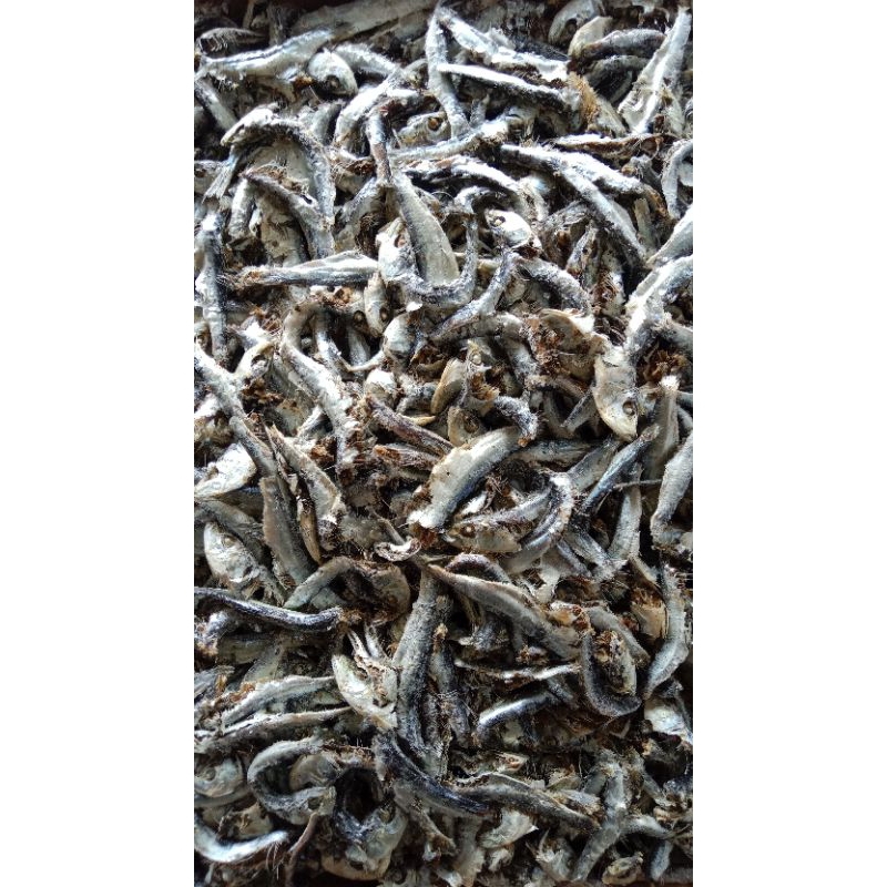 

ikan asin lemet murah 1kg