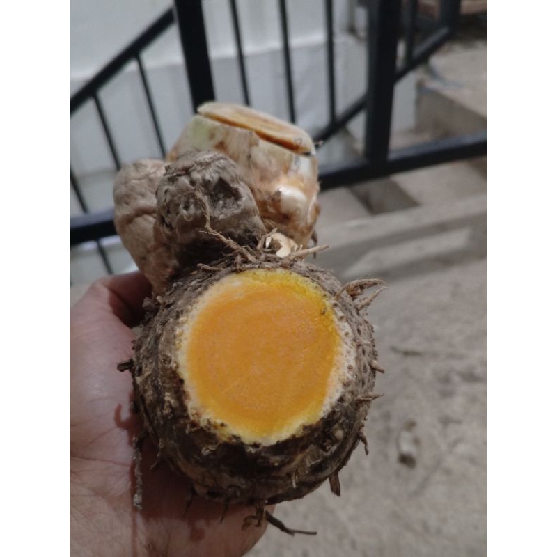 

Temulawak segar obat herbal 1kg kuwalitas terbaik...