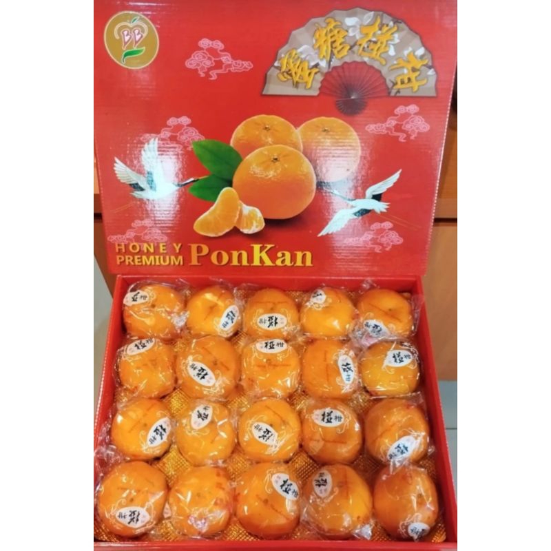 

Hampers Gift Box CNY Imlek Jeruk Ponkam Premium Isi 20 Jishun / Sincia / Parcel