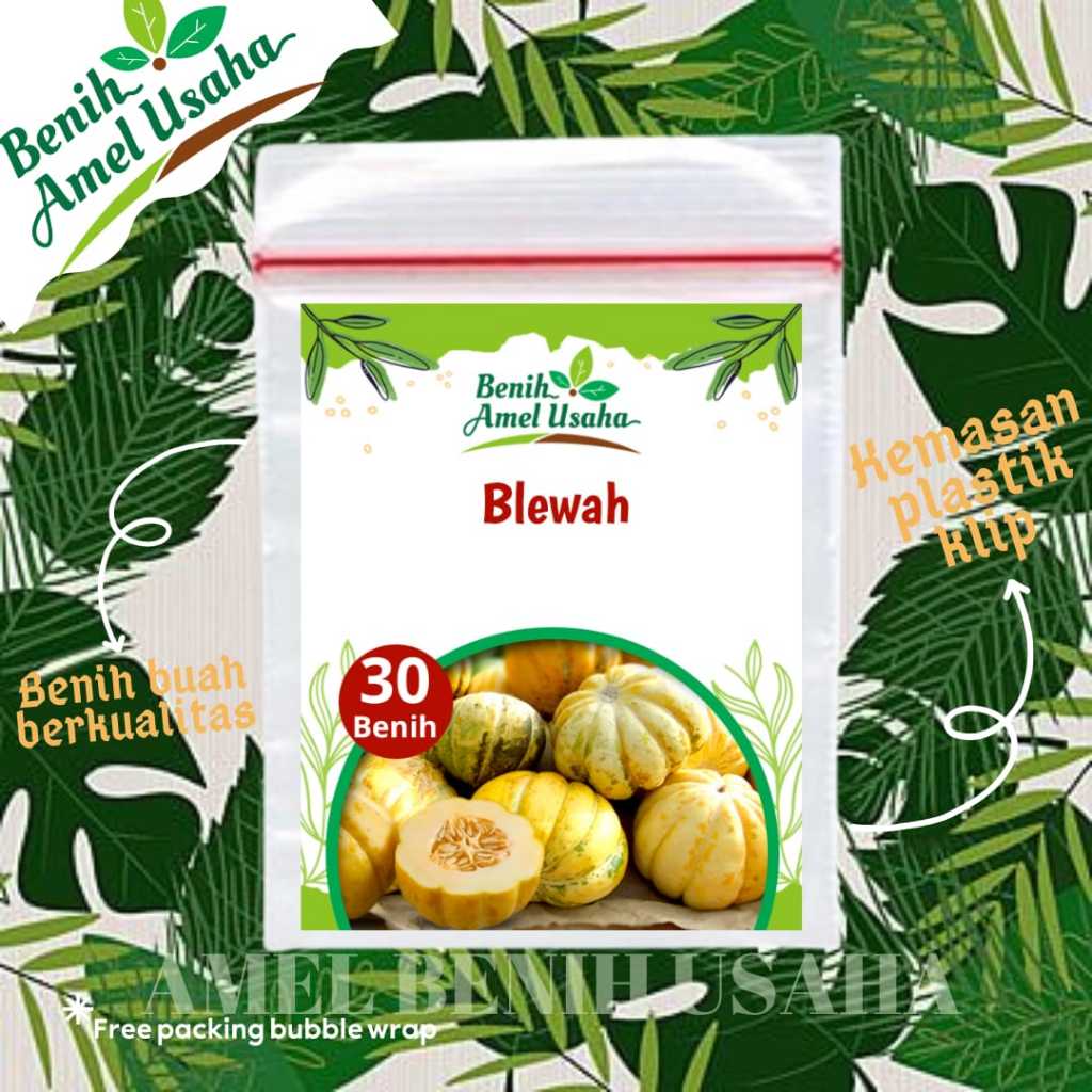 bibit benih blewah isi 30 biji / benih blewah kemasan plastik klip / benih blewah berkualitas