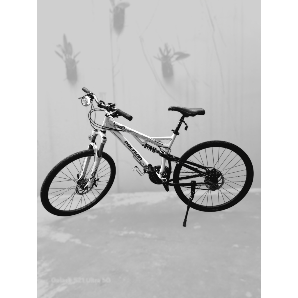 MTB Polygon Broadway3.0 (90%)