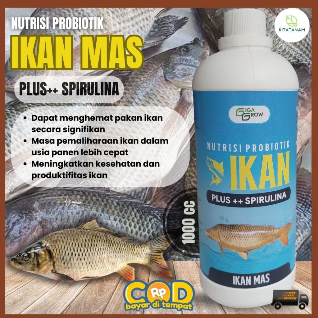 Vitamin Ikan Mas, Nutrisi Probiotik Ikan Mas, GigaGrow