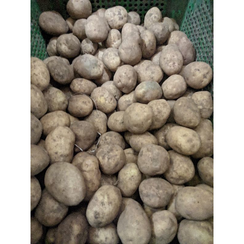 

Kentang Dieng kecil/Mini 500 gr