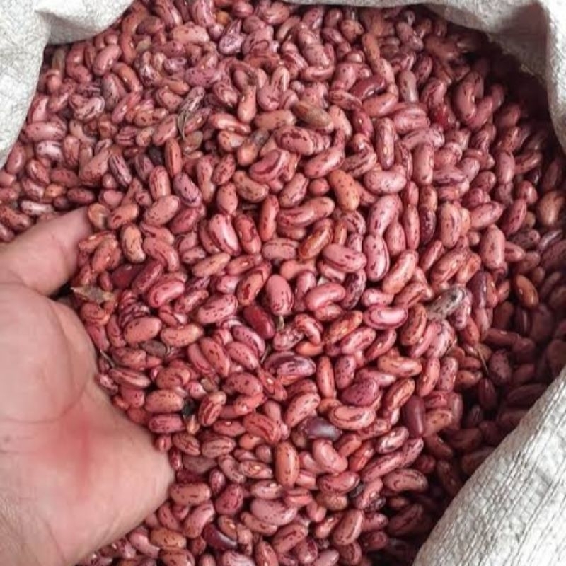 

Kacang Merah 500gr