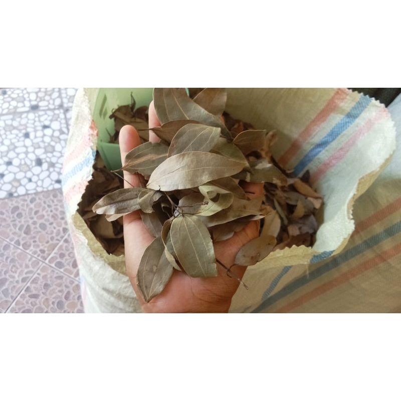 

Daun manis kering