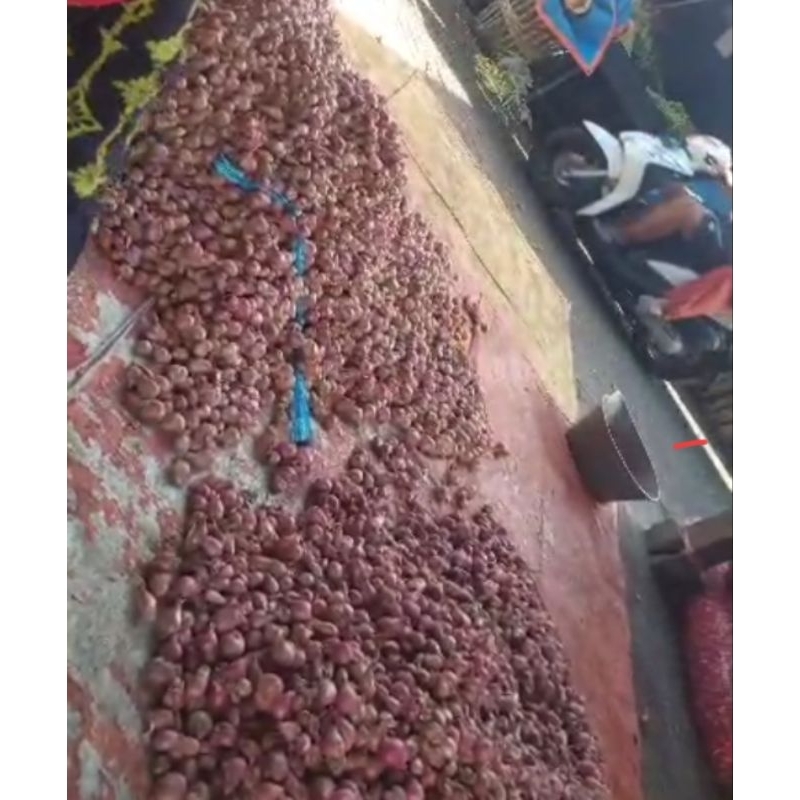 

Bawang Merah/Bamer 1 Kg