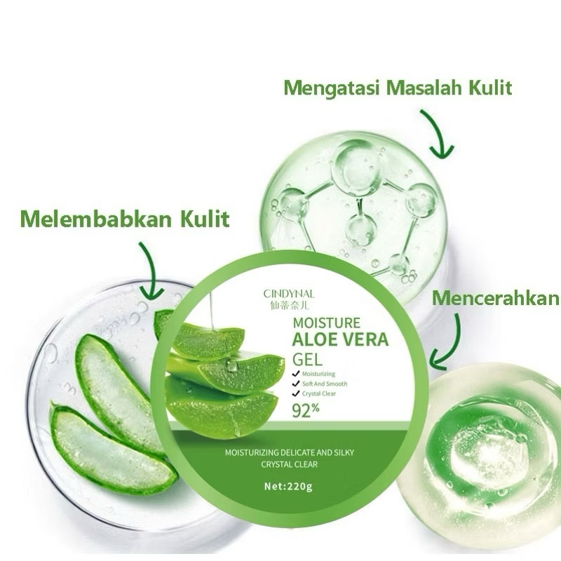 (BPOM) CINDYNAL Jeju aloe Vera soothing gel 92% ORIGINAL