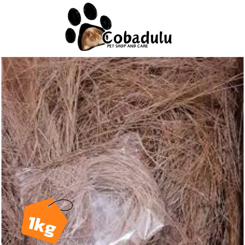 

Daun pinus kering 1kg