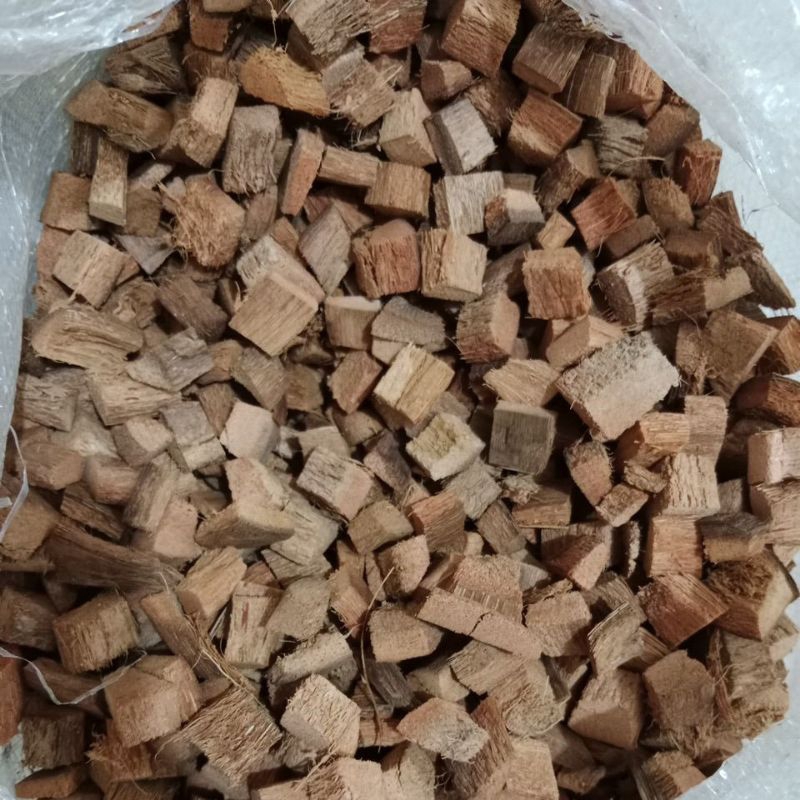 Cocochip Media Tanam AnggrekCocochip | Cocohusk Media Tanam Anggrek | Alas Reptil
