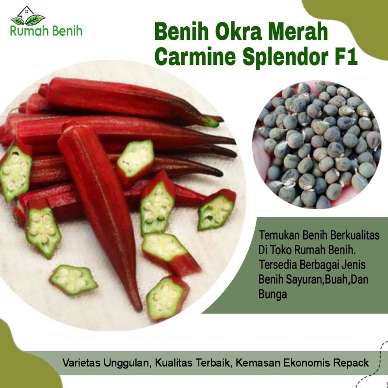 Benih Okra Merah Carmine Splendor F1 / Bibit Benih Okra Merah / Biji Benih Okra Merah / Benih Sayura