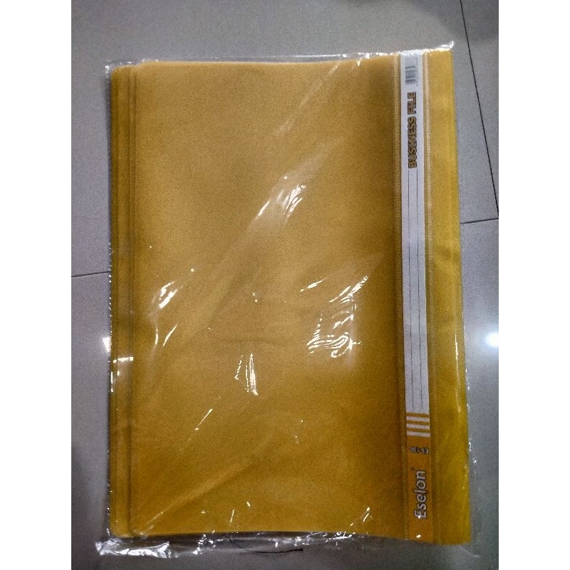 

Eselon Business File Kertas