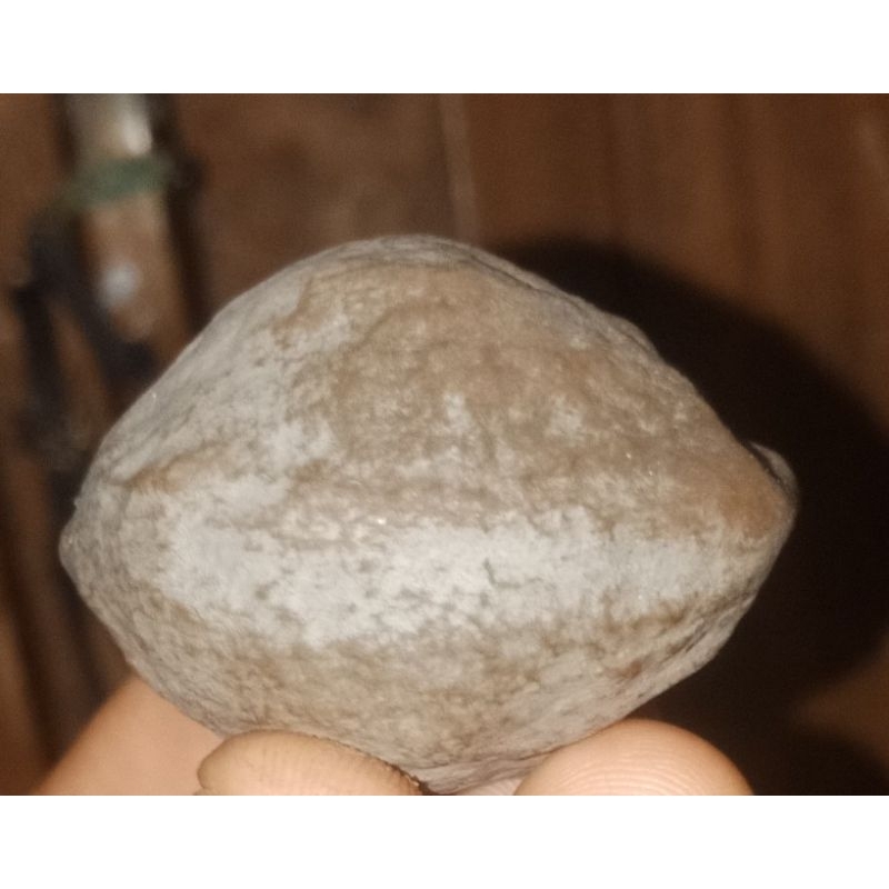 Muncang Adu Anak Si Langit