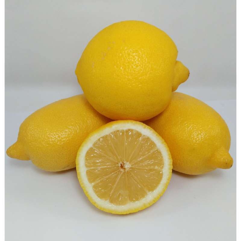 

lemon impor per 3pcs