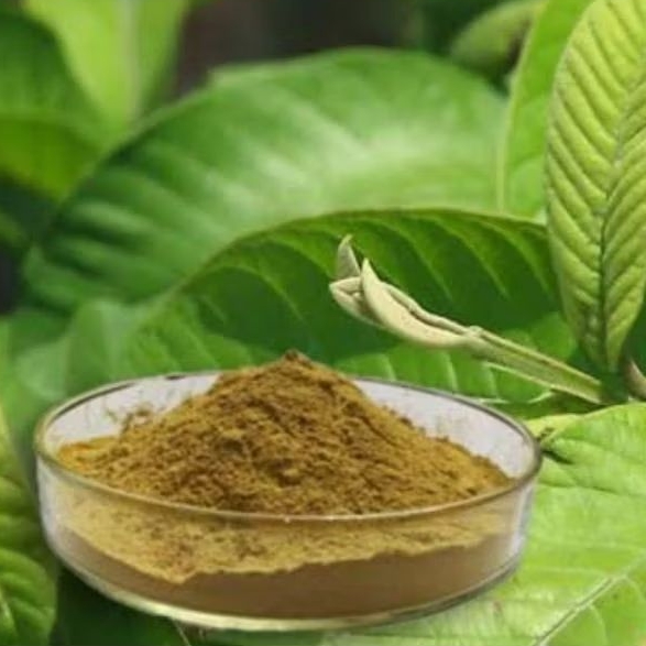 

Bubuk Serbuk Daun Jambu Biji 250 Gram