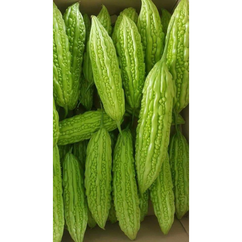 

Paria Sayur Lalaban Fresh 250gr-1kg