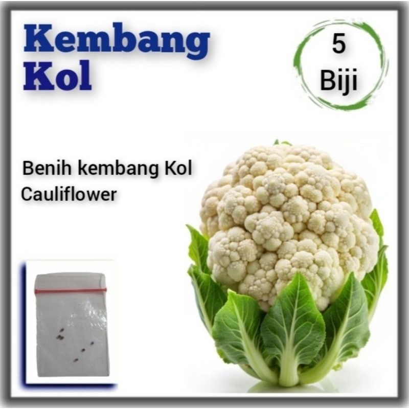Bibit Sayuran Kembang Kol Benih Sayuran Kembang Kol F1 Hibrida