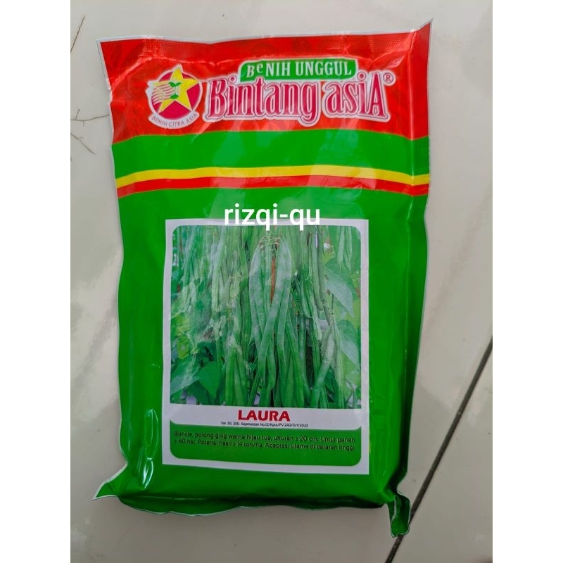 

laura binih buncis bintang asia