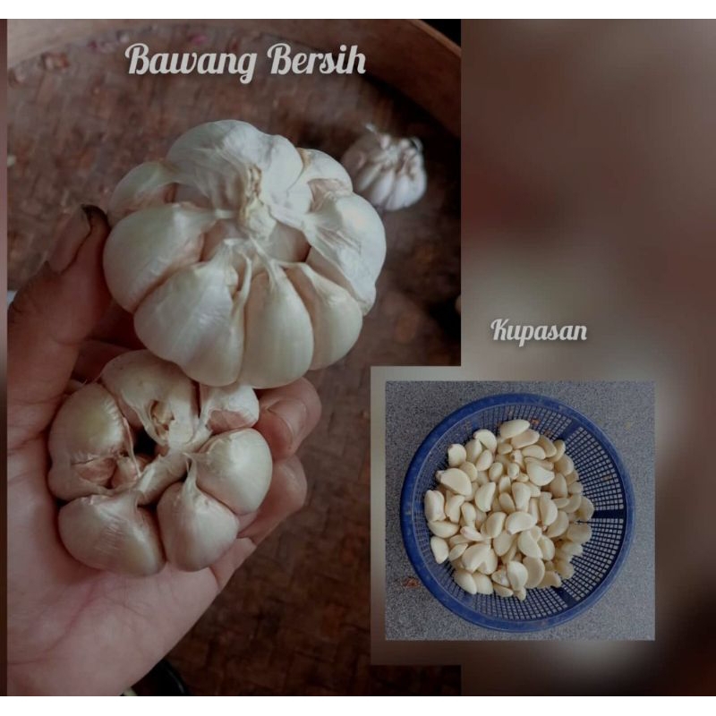 

Bawang Putih kupas bersih bawang segar bawang super netto 200gr