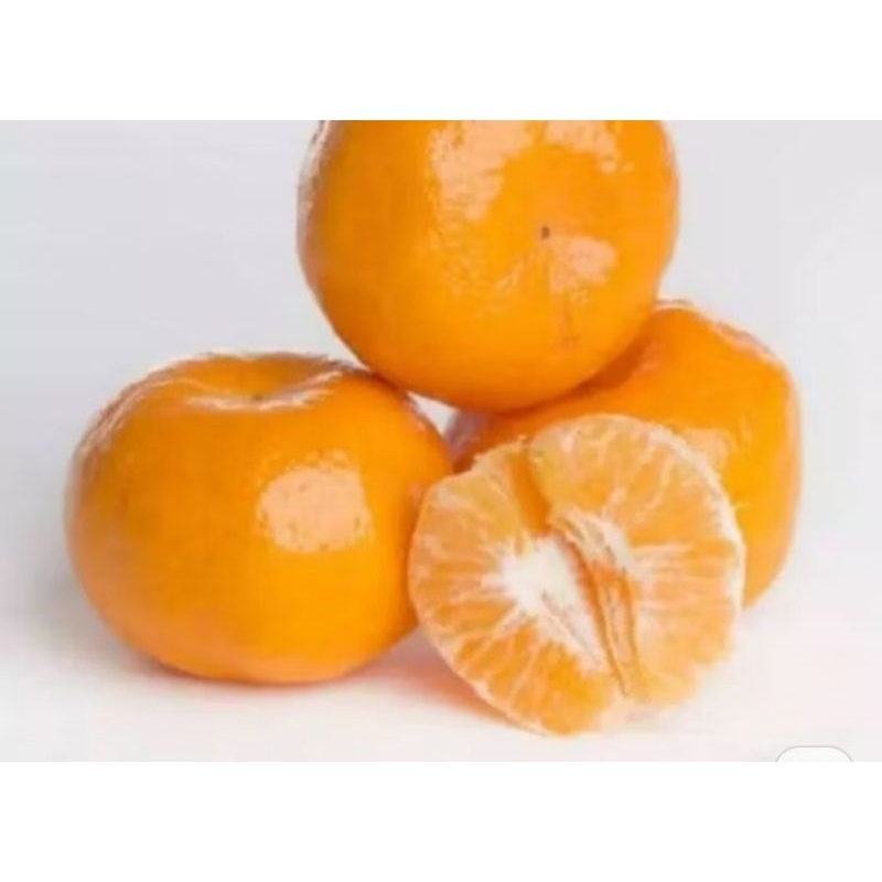 

Jeruk morcot (wogan) 1000gr