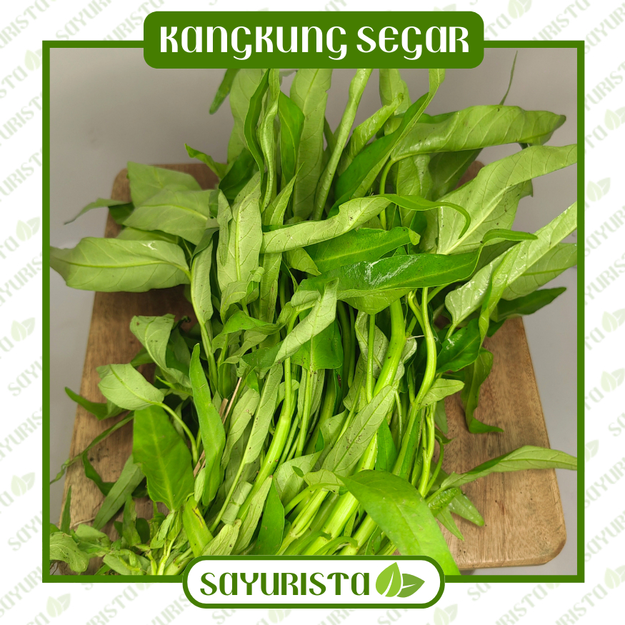 

Kangkung Segar - Pilihan Terbaik dari Sayurista!